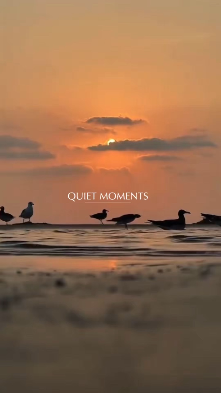 Romantic birds