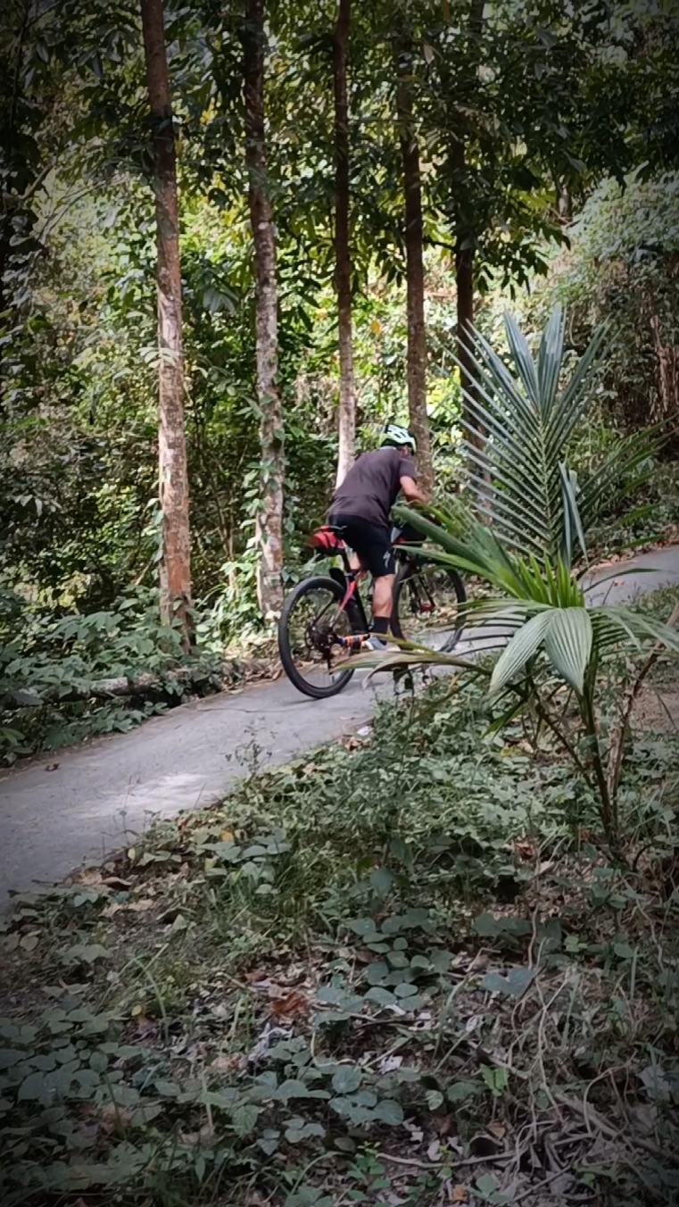 BIKE LIFE
