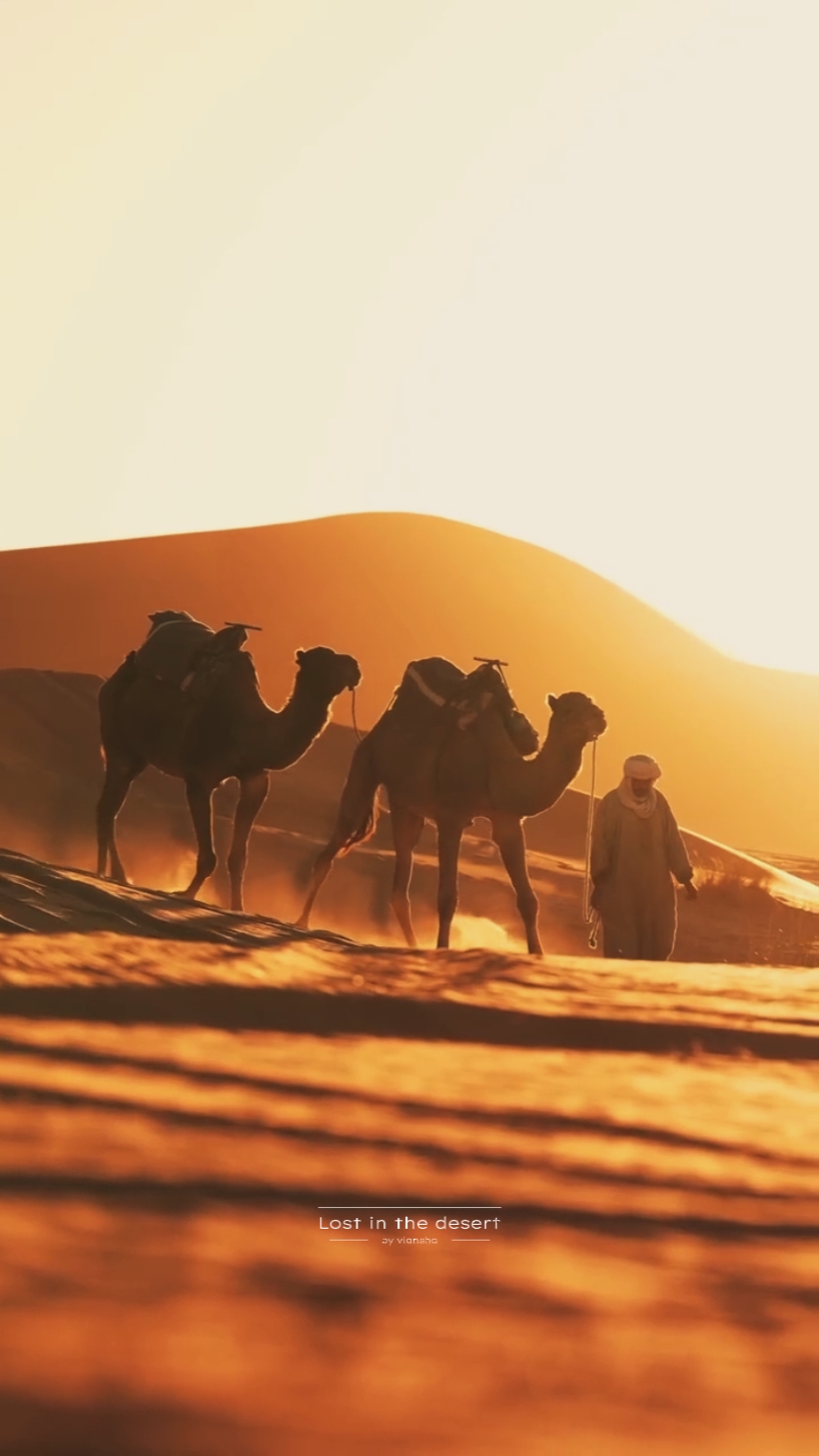 Desert