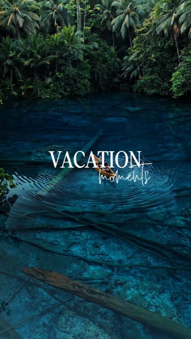 vacation moments