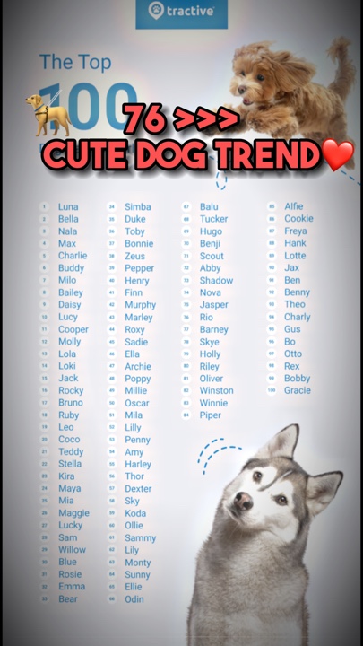 Tendencia de perro lindo❤️