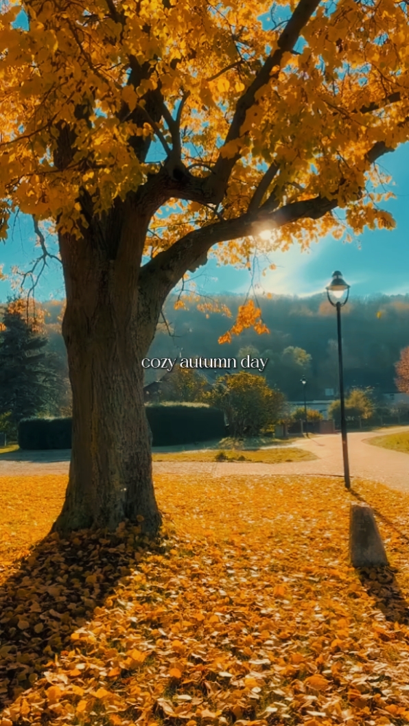 journée d'automne confortable 