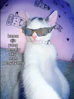 foto live kata kata