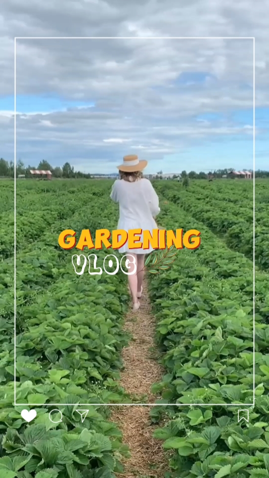 Vlog de jardinagem