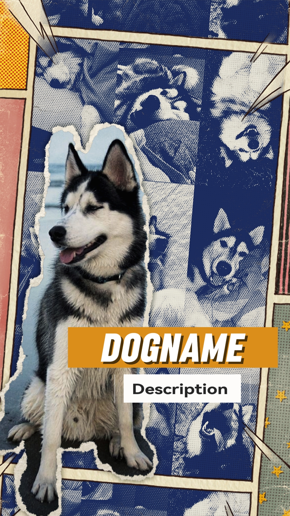 intro your pet