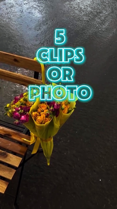 5 clips or photo 