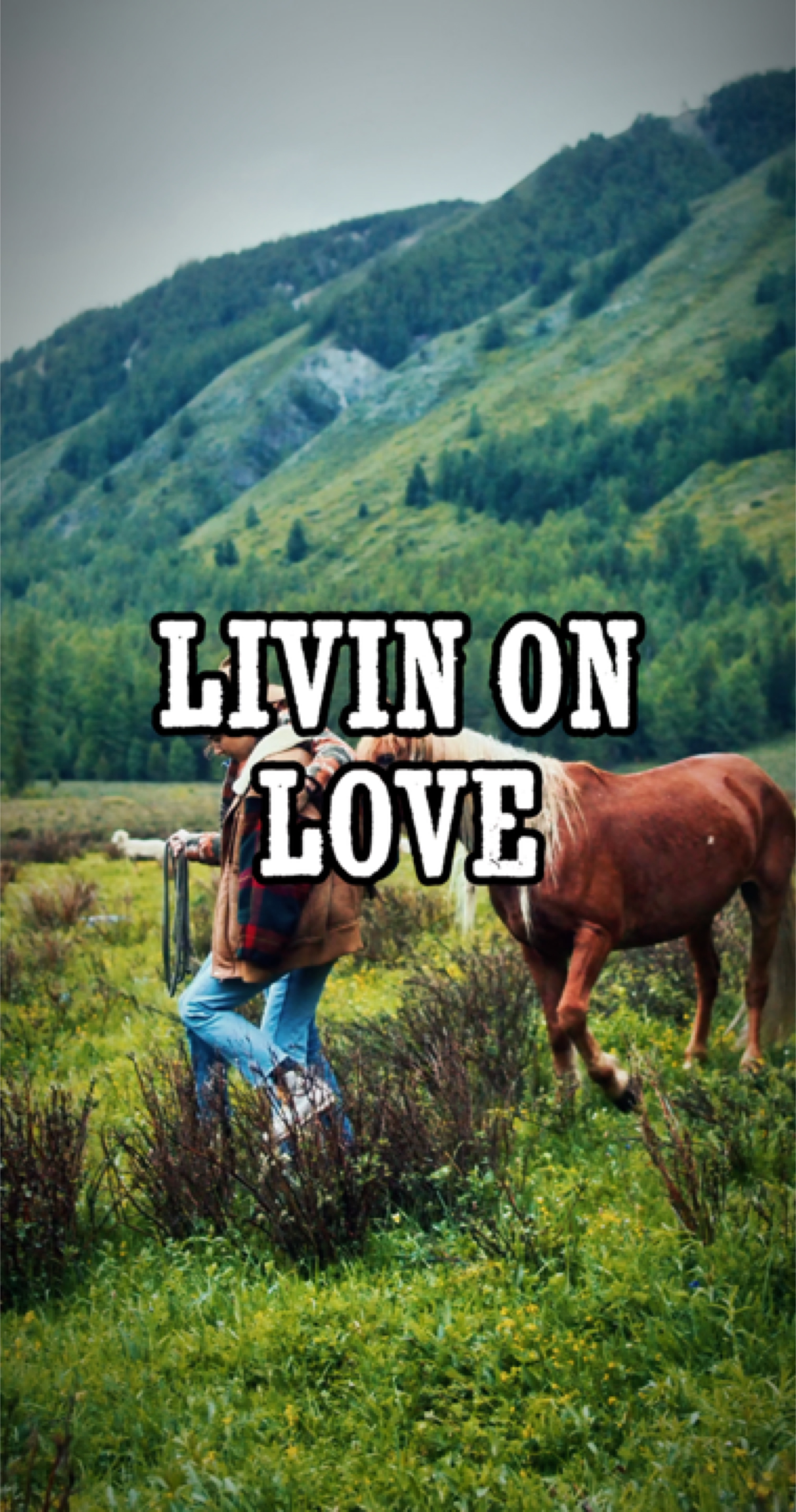 Cinta Livinon
