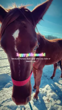 happy pride! 