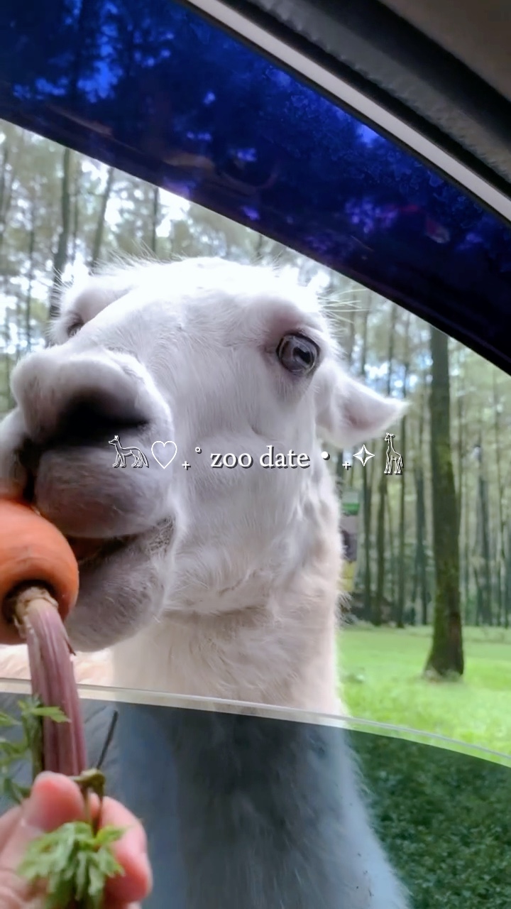 date du zoo