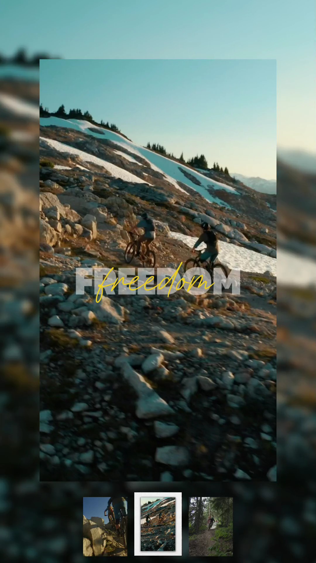 Freedom