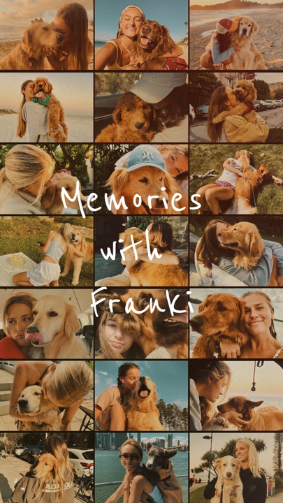 Memories with pet