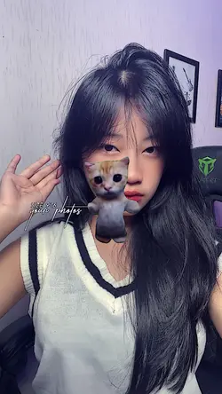 trend stiker kucing