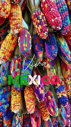 viva México