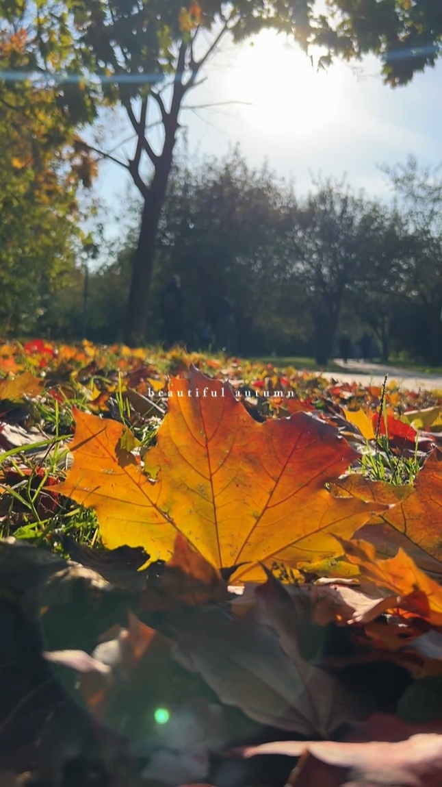 Hermoso otoño
