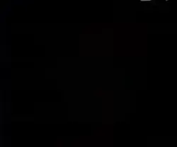 Free edit