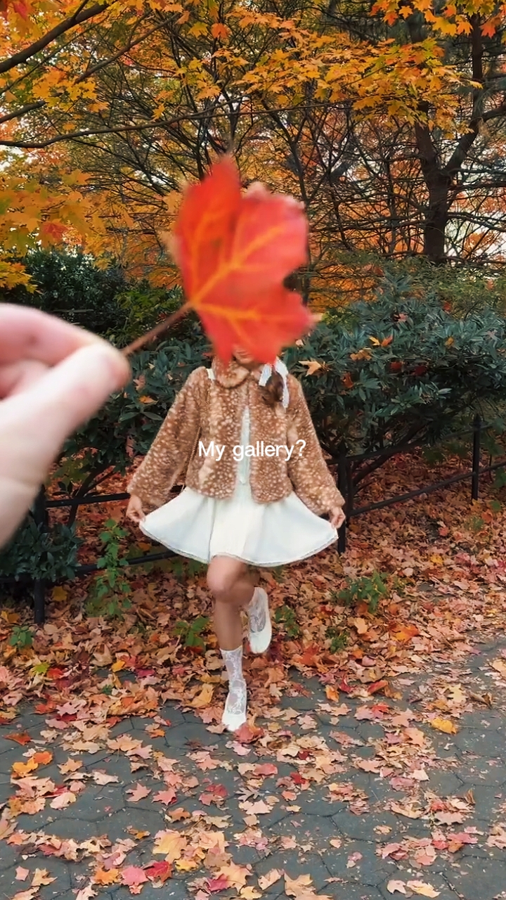 내 갤러리?