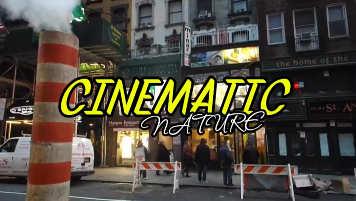 CINEMATIC AESTHETIC 