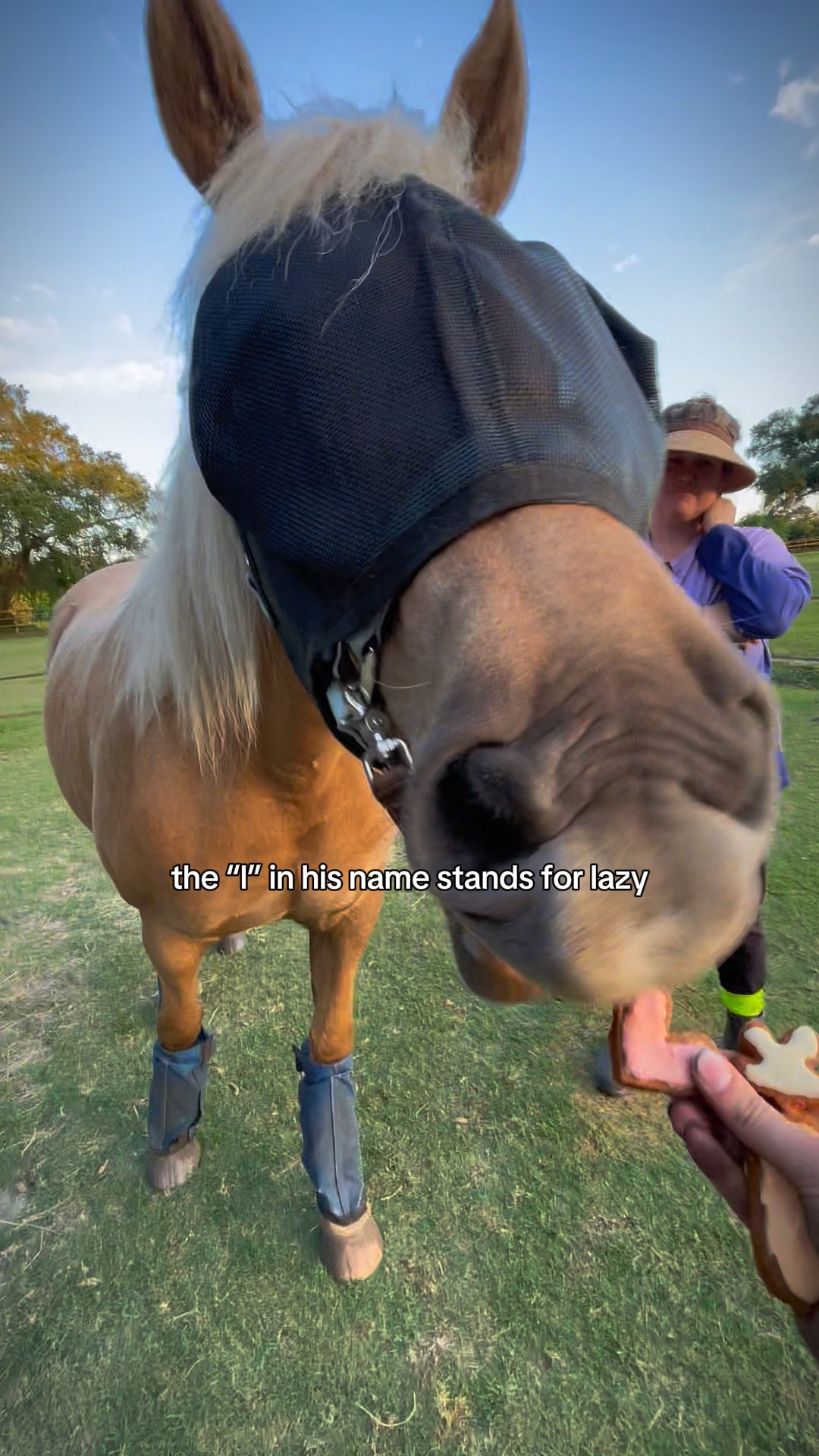 ¡Pony veloz!