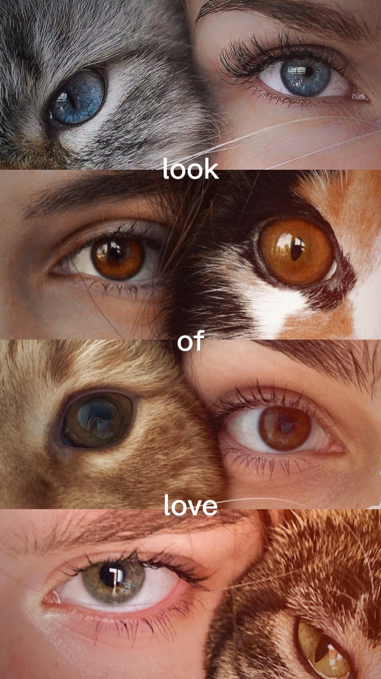 Tendencia de ojos