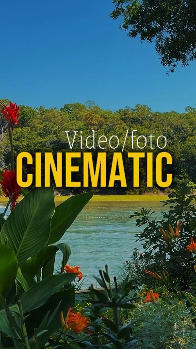 Filmisch 