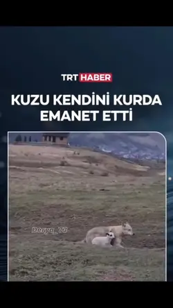 Yeni şablon 🥹❤️