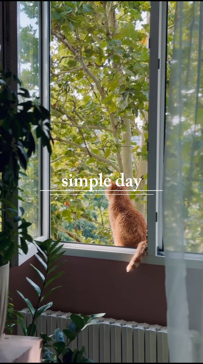 simple day.