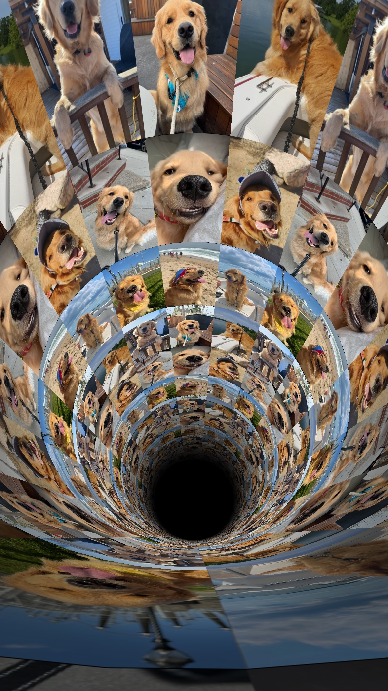 Mein Hund