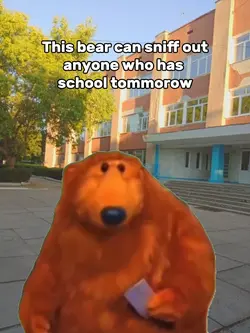 sniffer bear