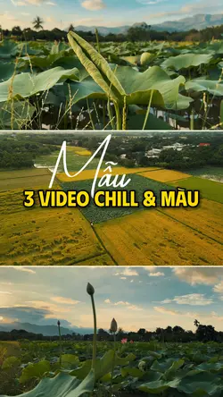 Chill 3 Video Quê