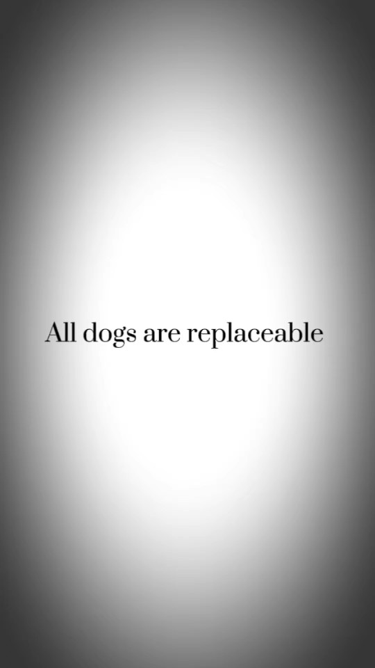 Dog template