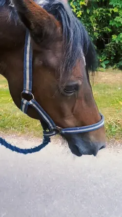 going to the field