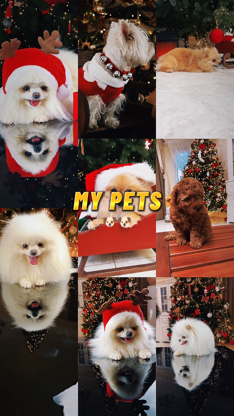 MY PETS