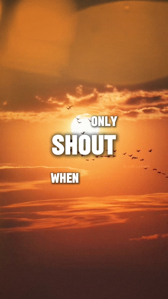 Your praise