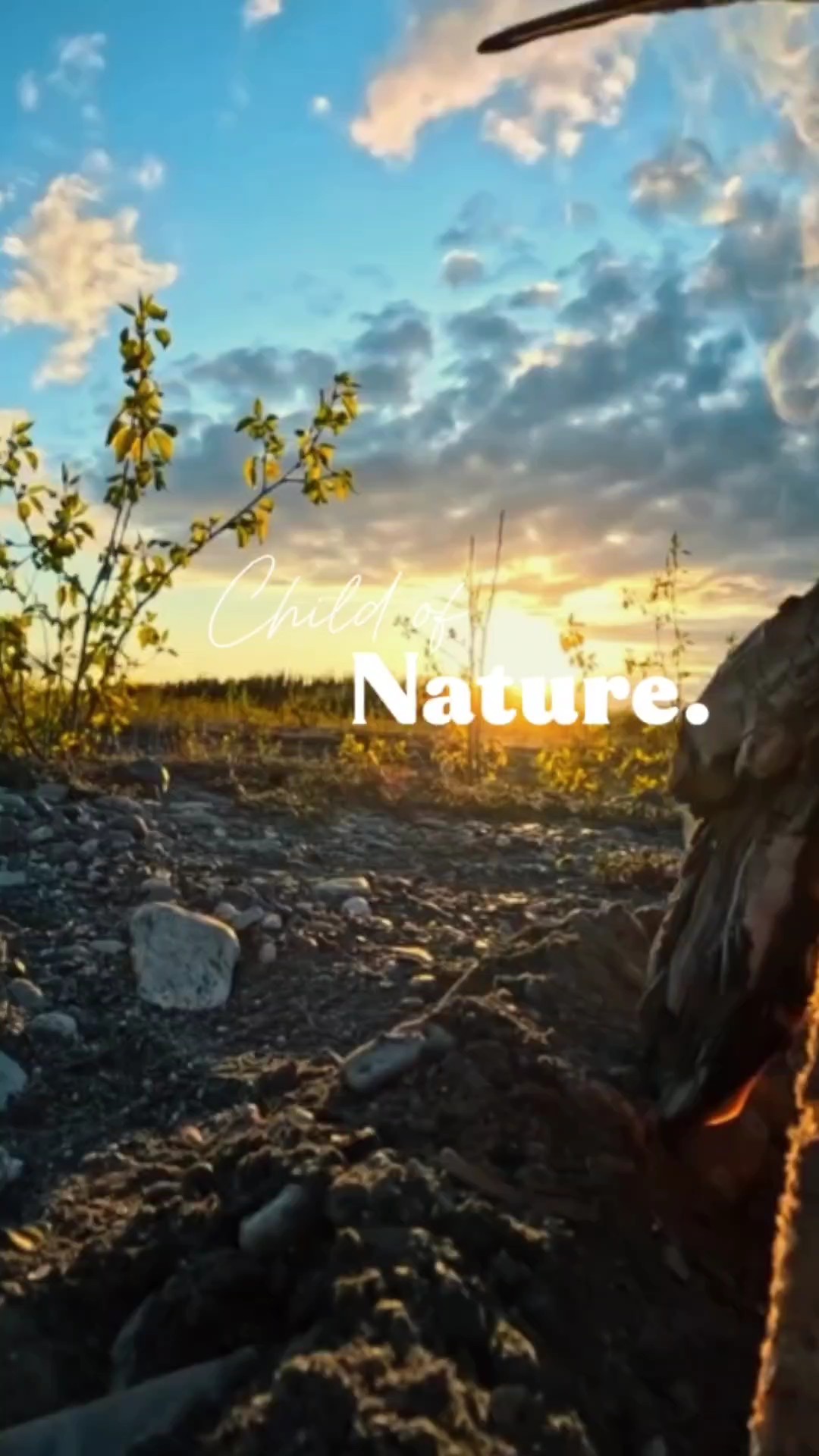 Alam cinematográfico