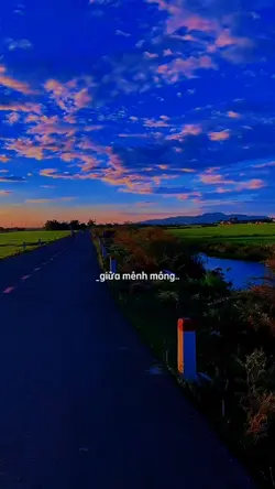 đồi hoa mặt trời