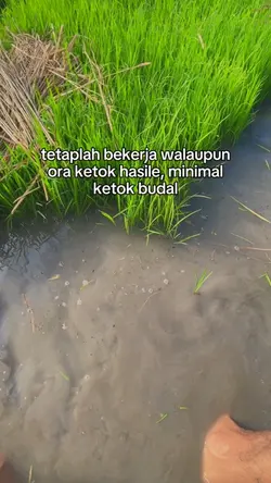 tetaplah bekerja