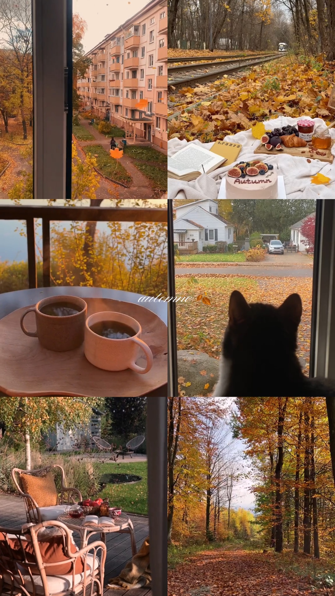 autumn mini vlog