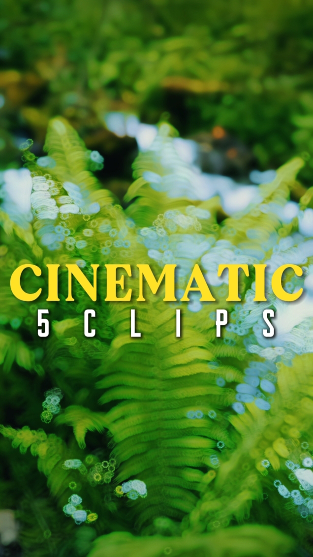CINEMATIC 5 CLIPS