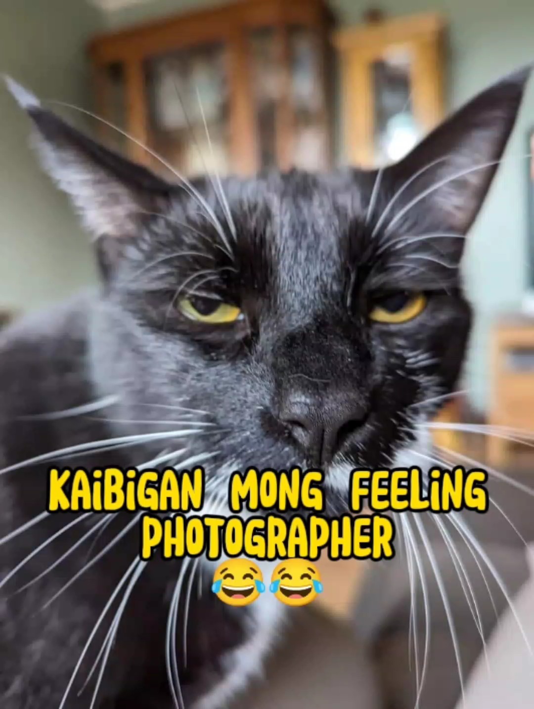 FOTÓGRAFO HAHA