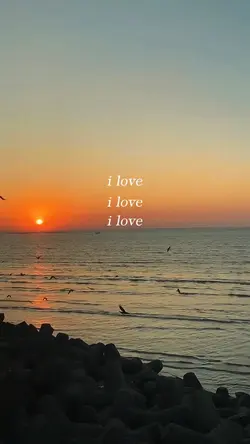 I love I love I love
