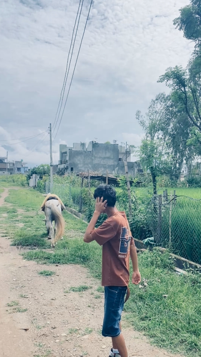 बादशाह