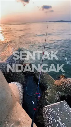 mancing mania