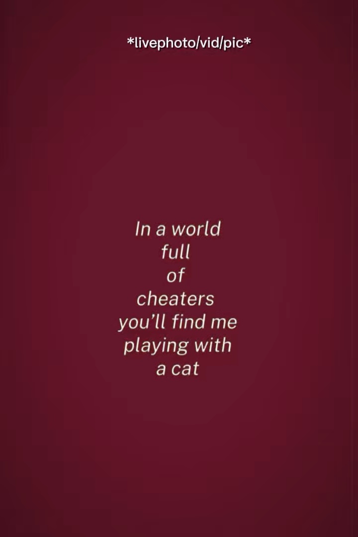 Playing with a cat