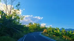 nature therapy