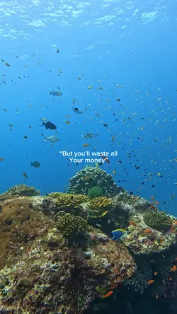 Waste ?