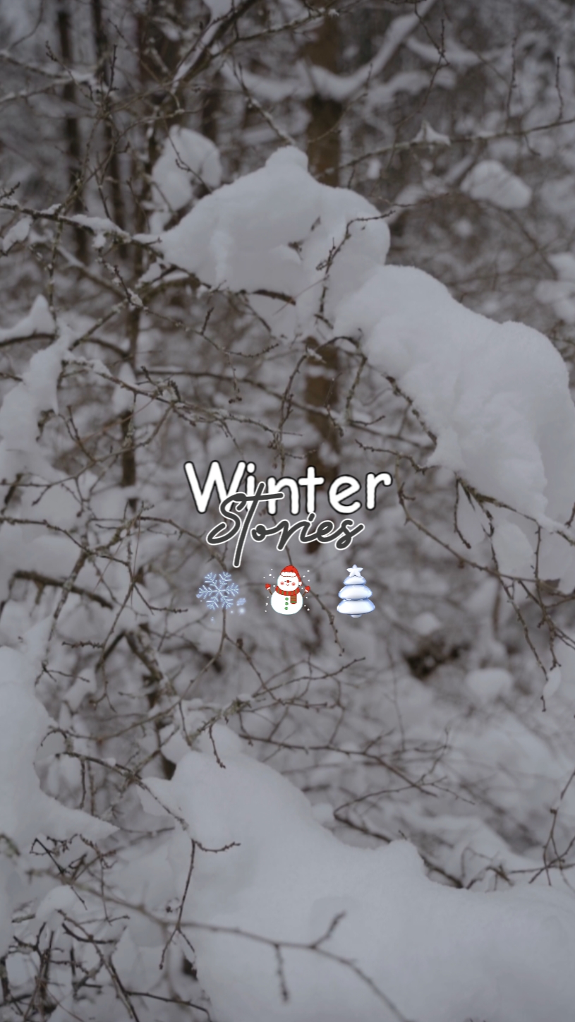 Histoires d'hiver