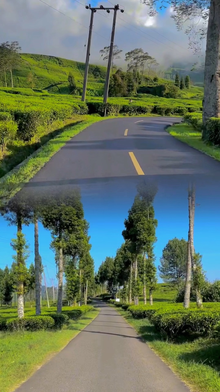2 videos 1 fotograma 