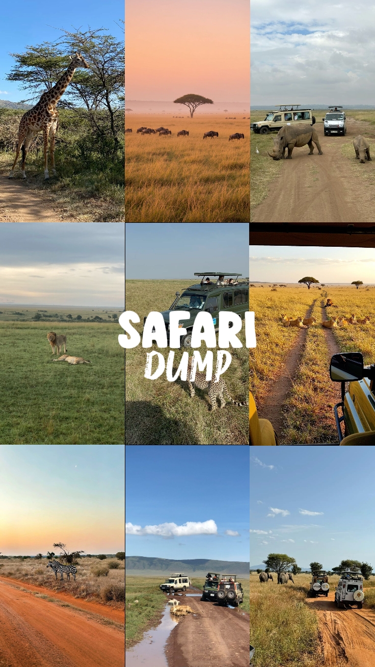 Volcado de safari