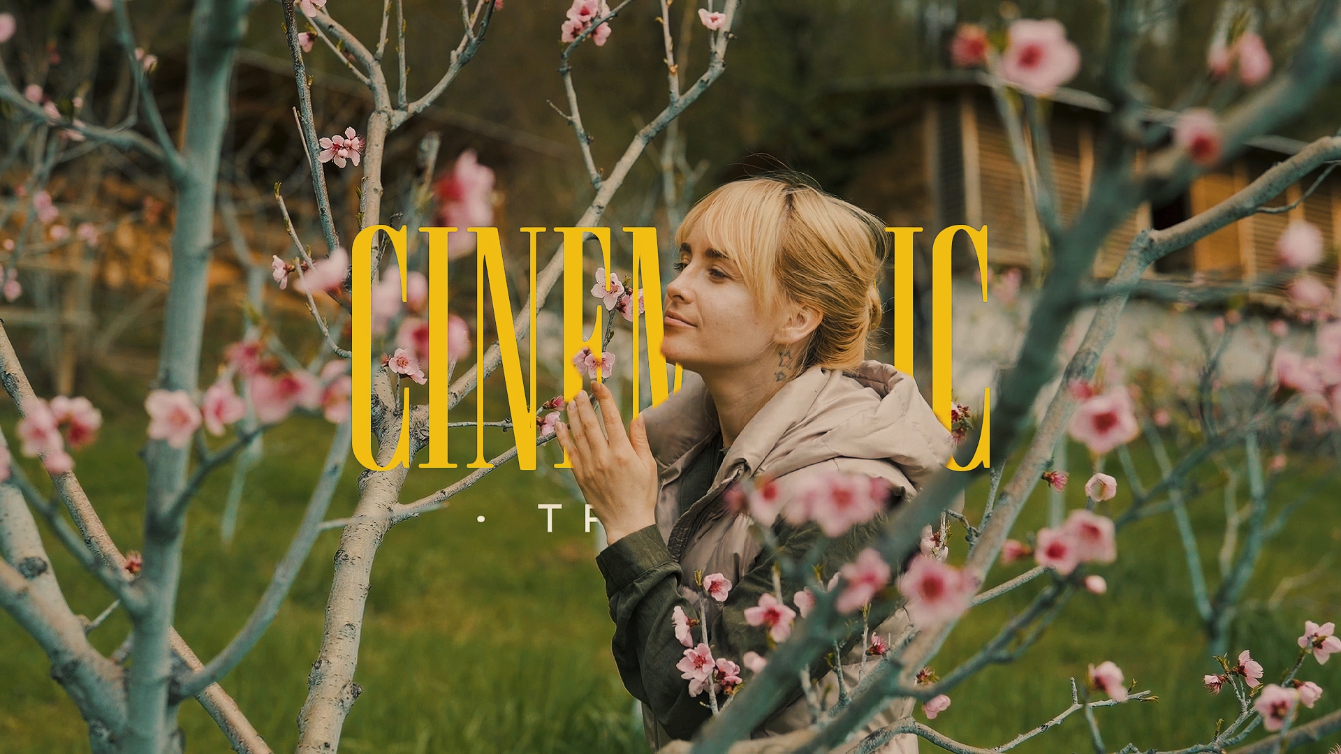 cinematic travel