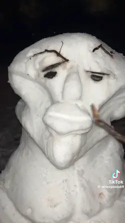 Sigma snow? 